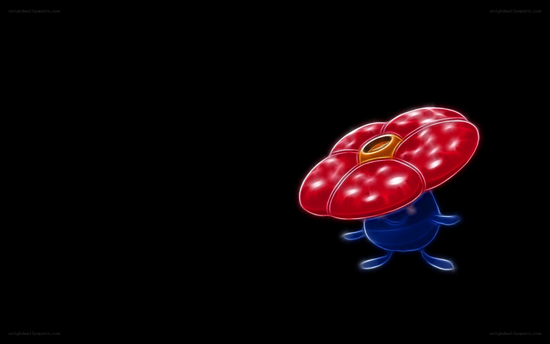 Flower-like creature on black