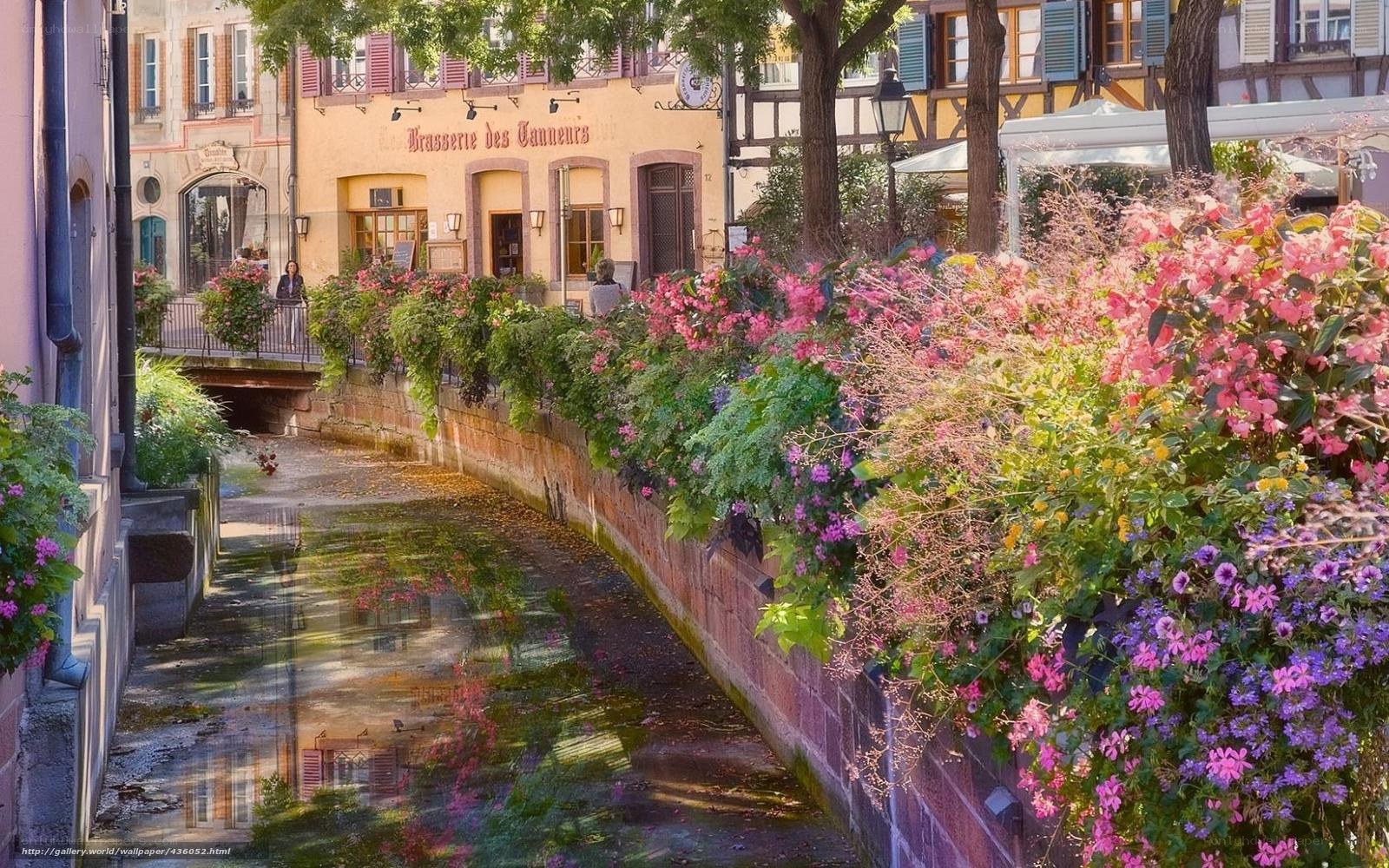 Flower-lined canal in Colmar