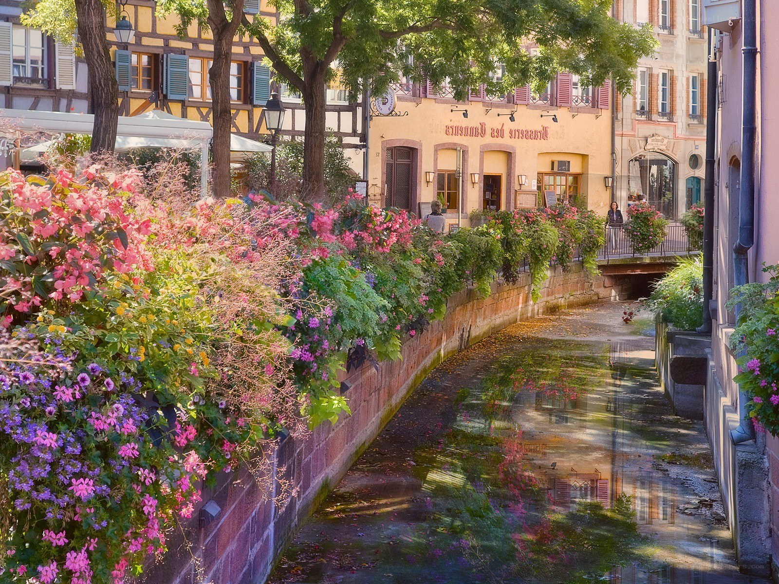 Flower-lined canal in Strasbourg