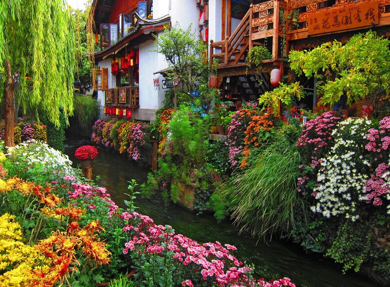 Flower-lined Canal