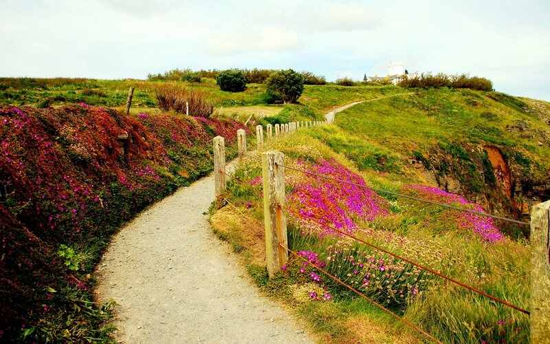 Flower-lined coastal path