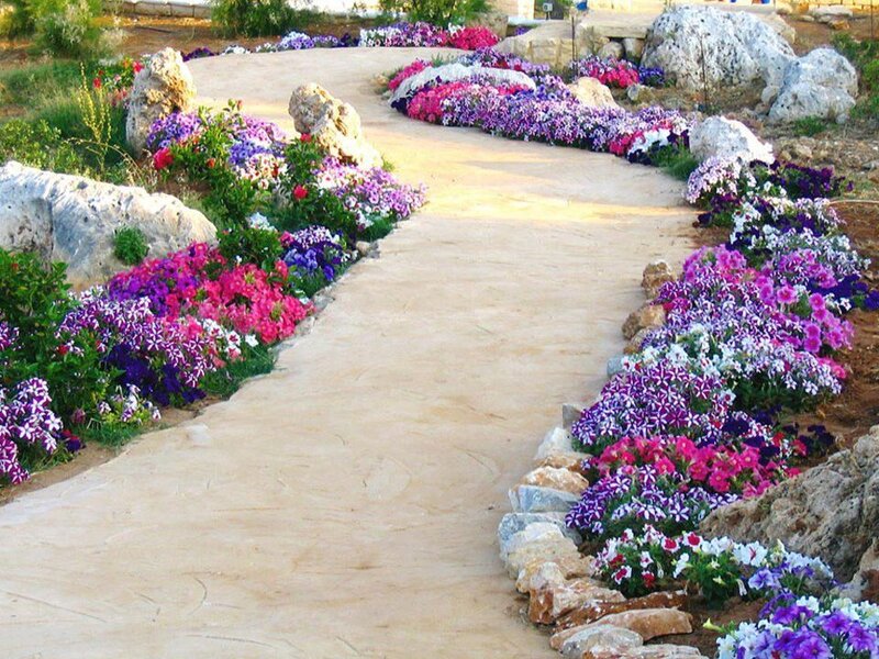 Flower-lined Garden Path — Purple, Serene