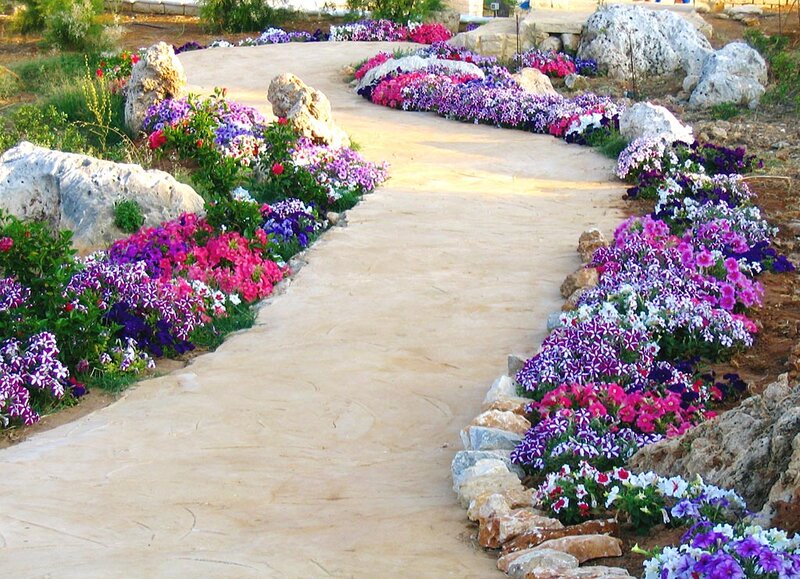 Flower-lined Garden Path — Purple