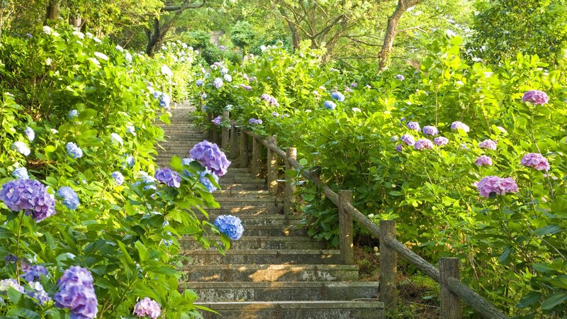Flower-lined garden staircase