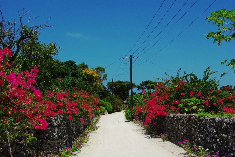 Flower-lined Path