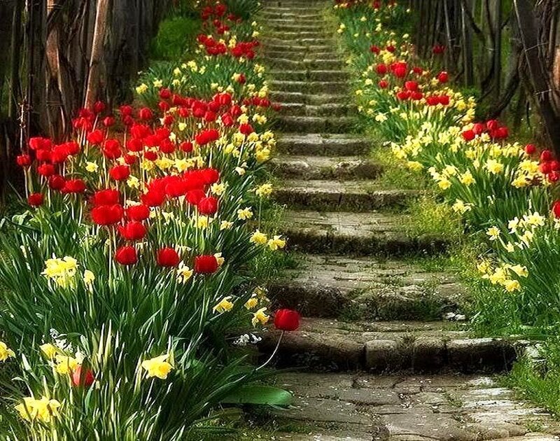 Flower-lined stone staircase