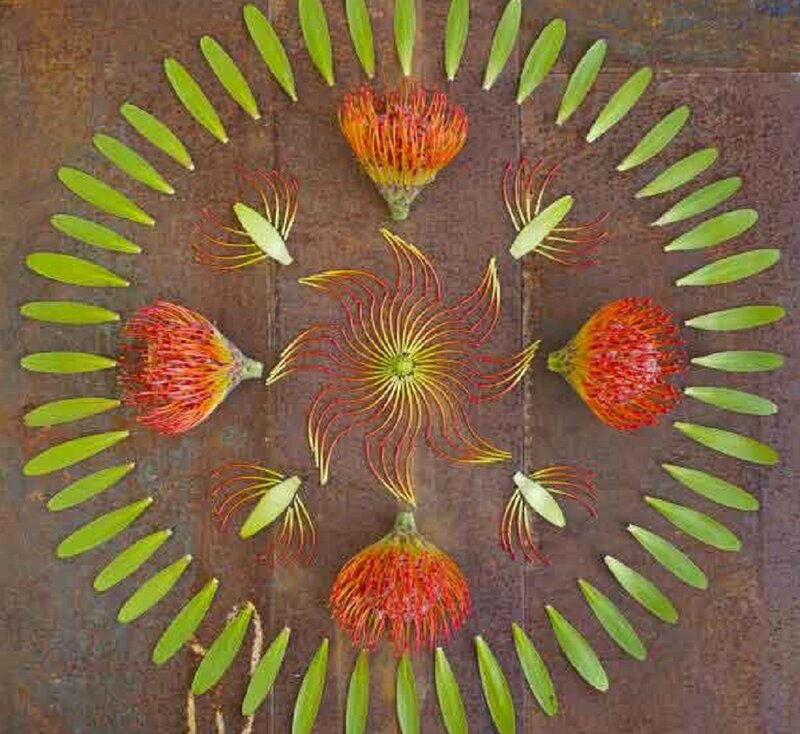 Flower Mandala Arrangement