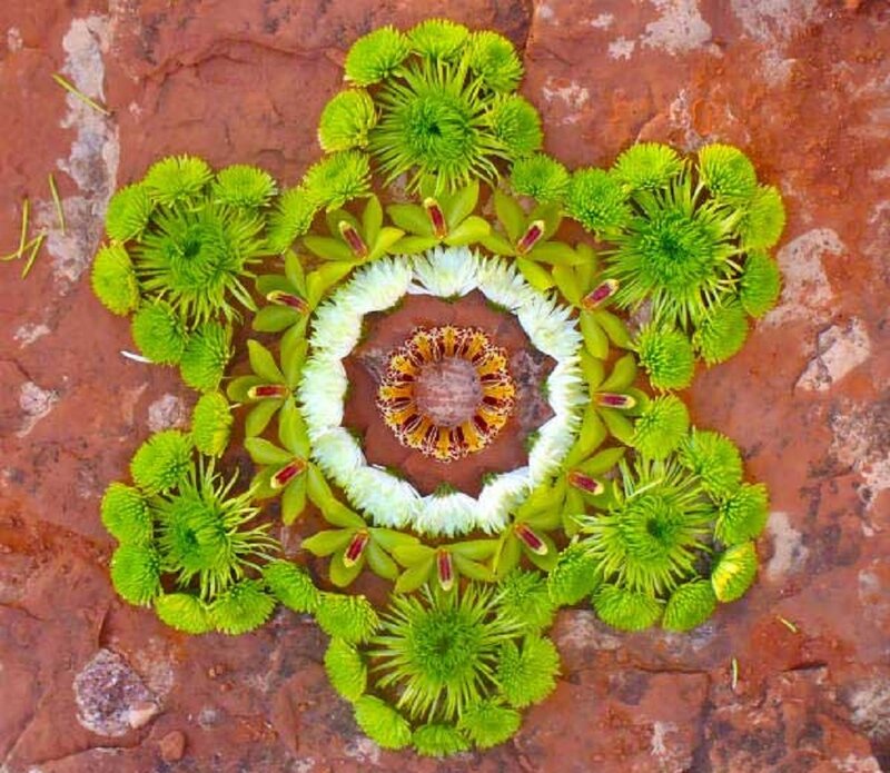 Flower Mandala on Rock