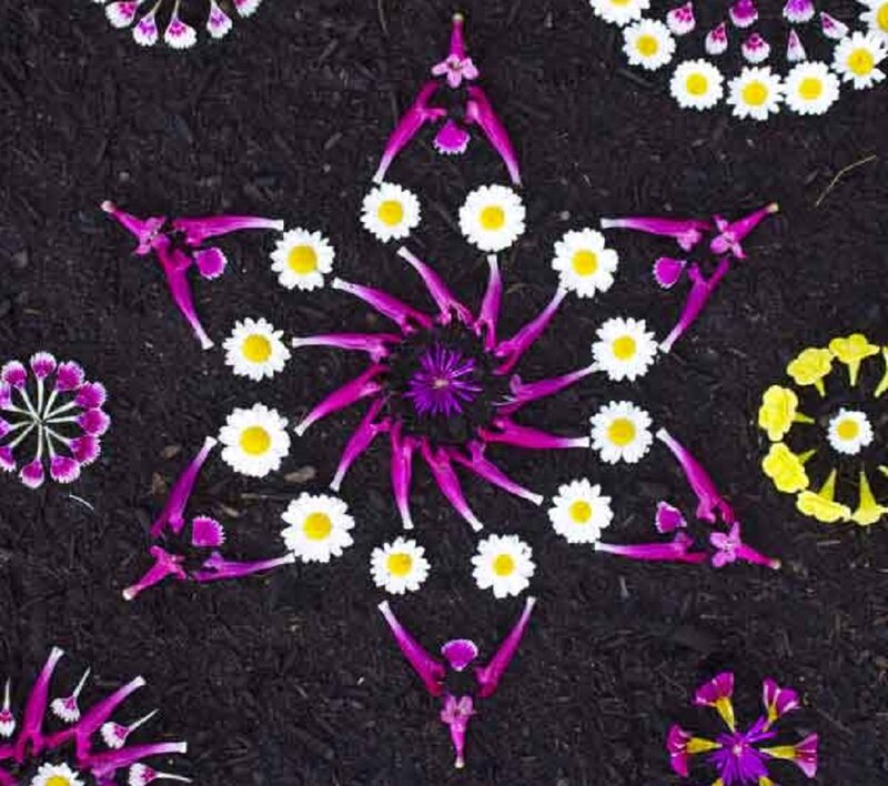 Flower Mandala on Soil