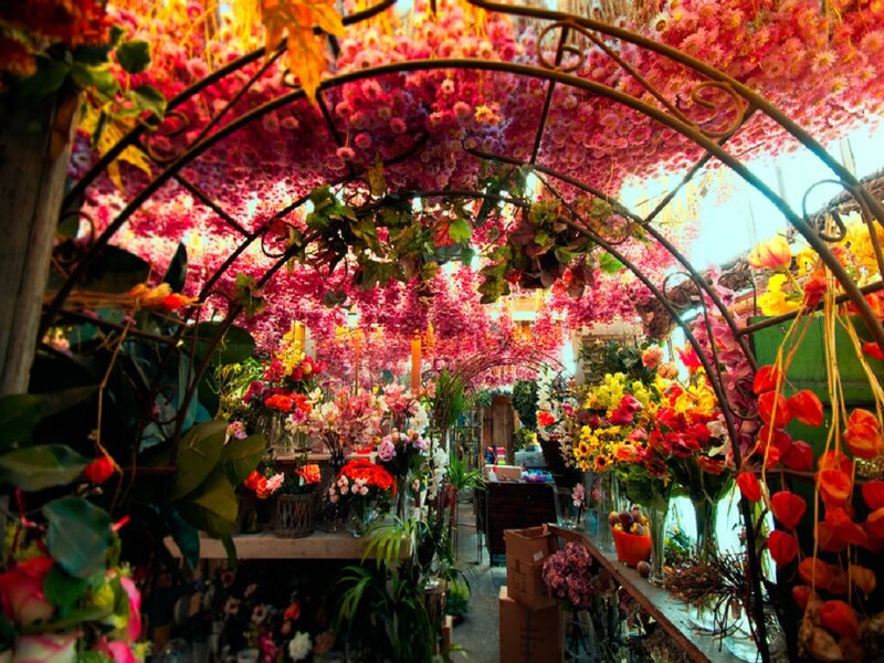 Flower Market Stall — Pink