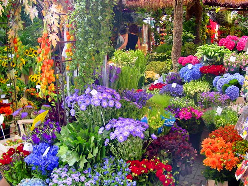 Flower Market Stall — Purple