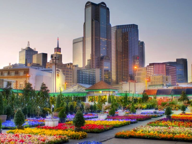 Flower Market with City Skyline