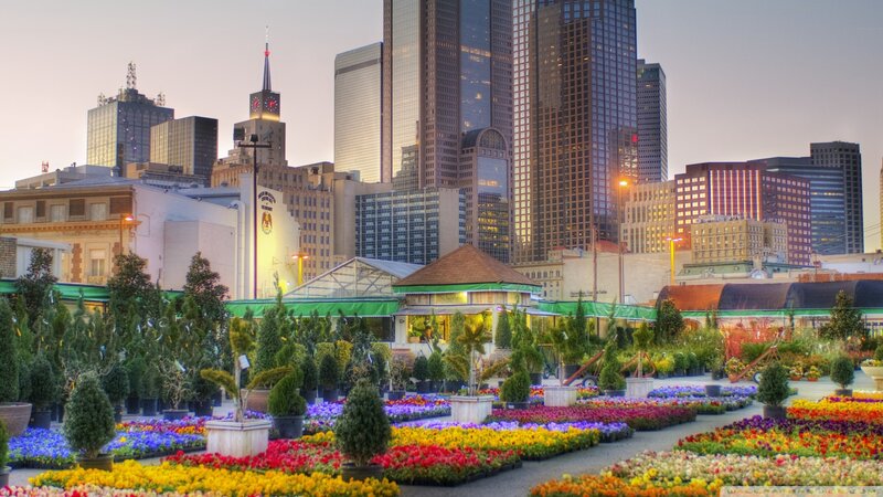 Flower Market with City Skyline — Yellow