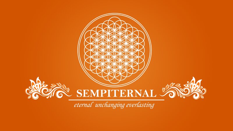 Flower of Life Symbol — Orange