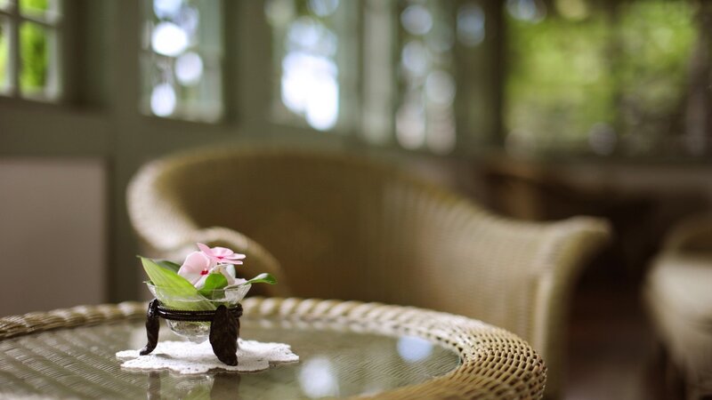 Flower on a wicker table