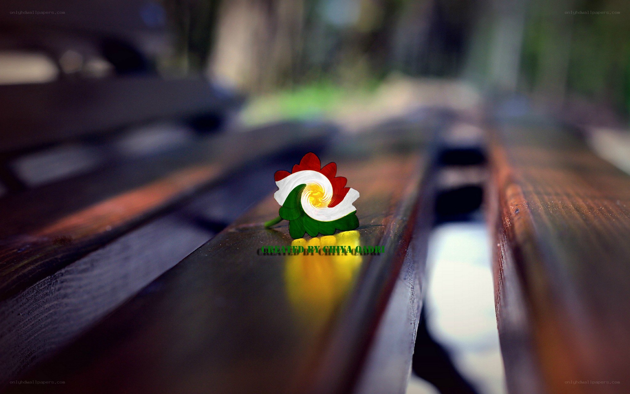 Flower on a wooden bench