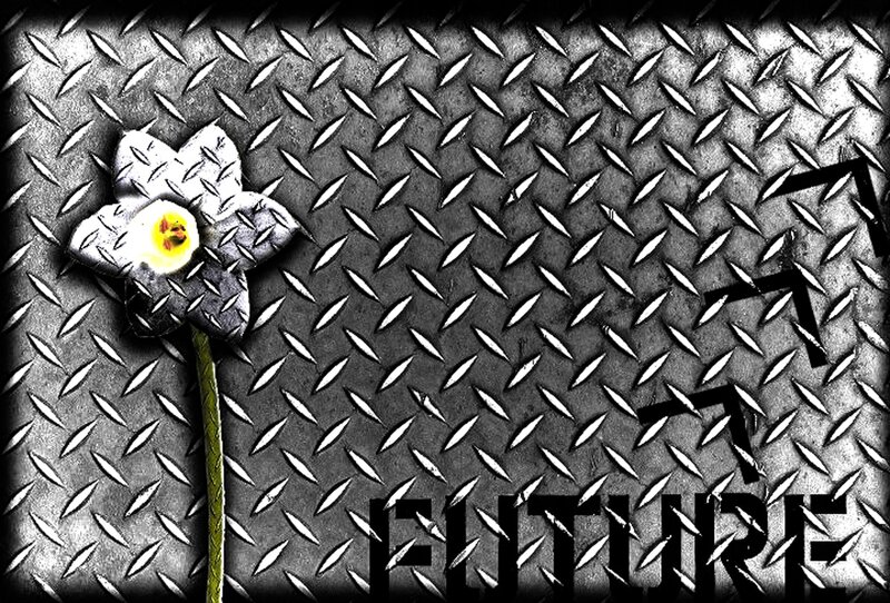 flower on metal background