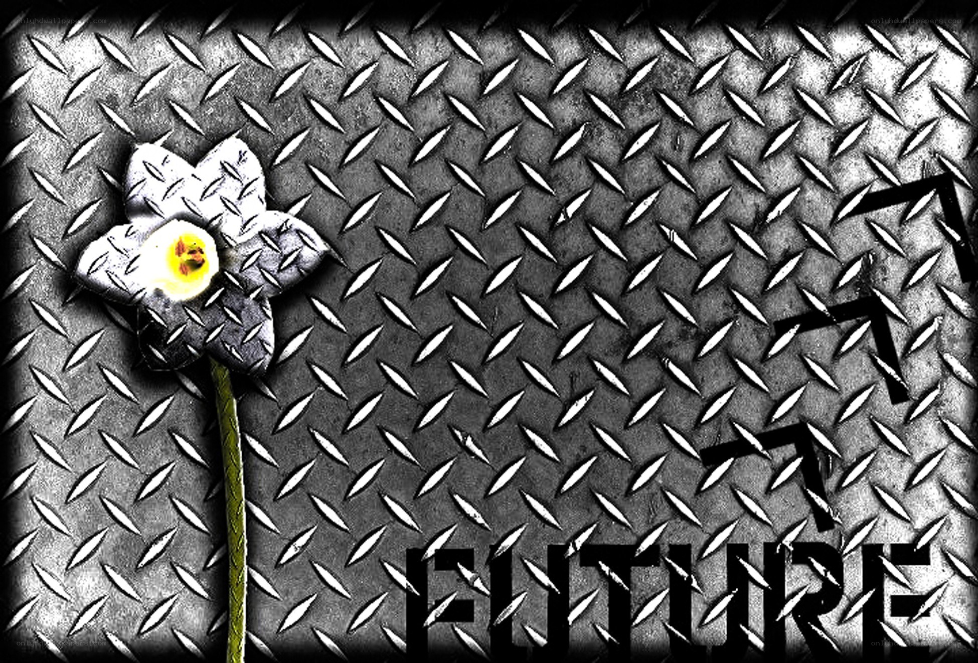 flower on metal background