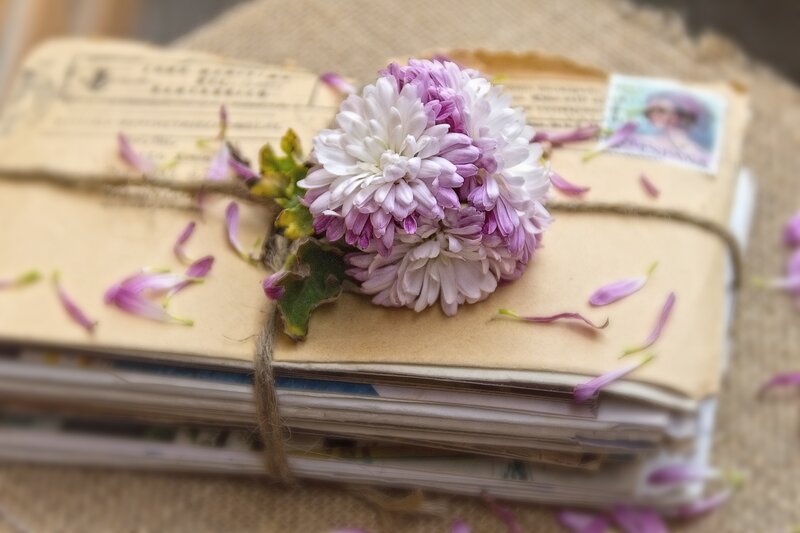 Flower on old letters