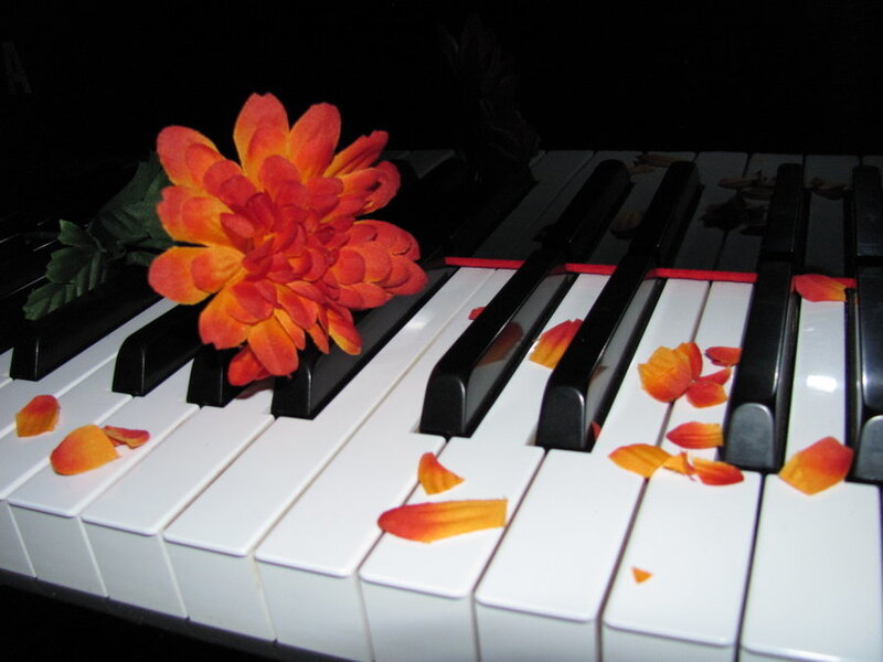 Flower on piano keys