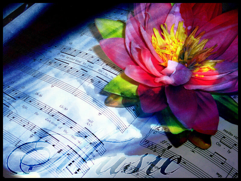 flower on sheet music