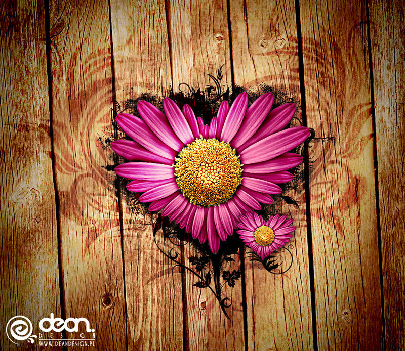 Flower on wooden background