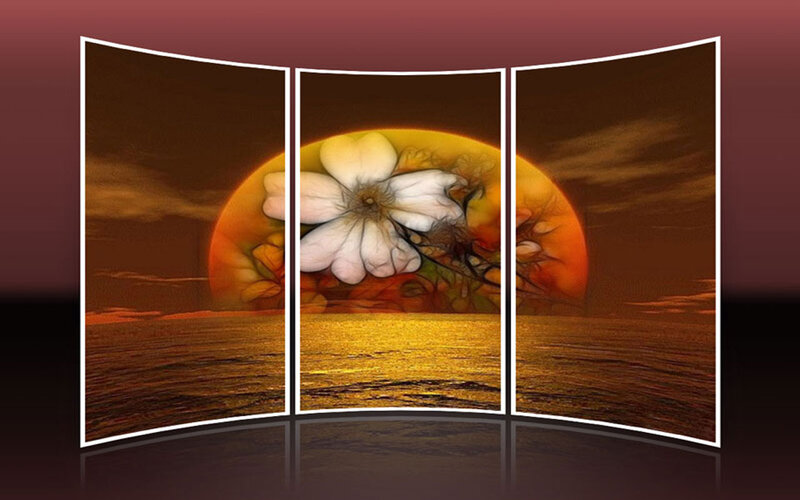 Flower over Sunset