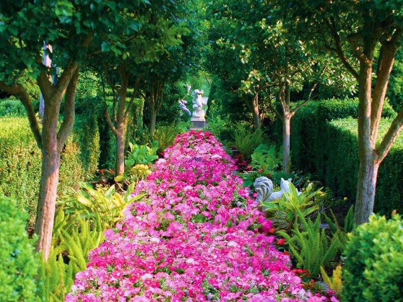 Flower path in a formal garden