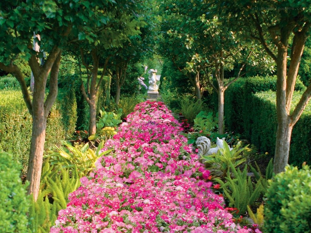 Flower path in a formal garden