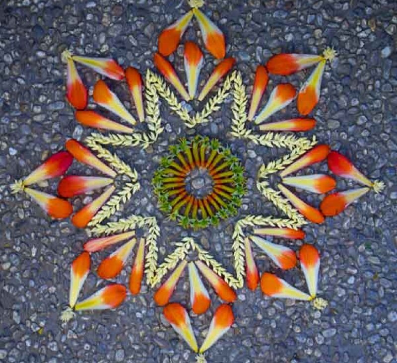 Flower Petal Mandala