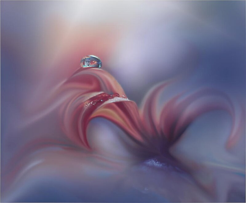 Flower Petal with Water Droplet — Purple
