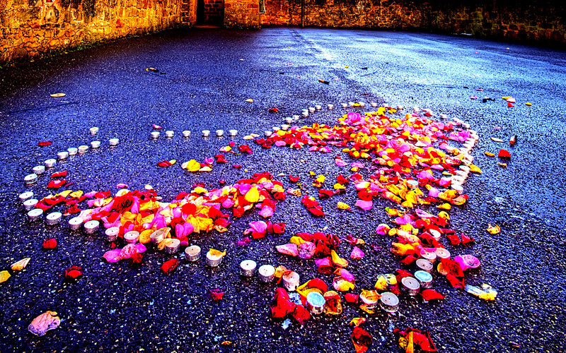 Flower Petals and Candles