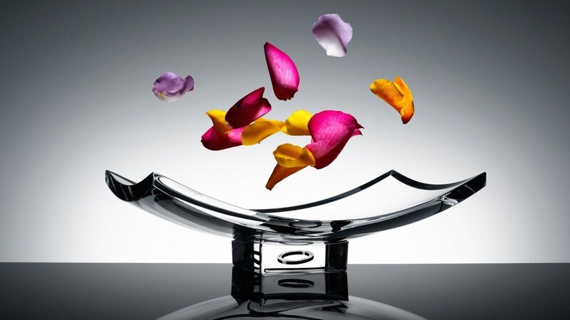 Flower Petals in Bowl — White