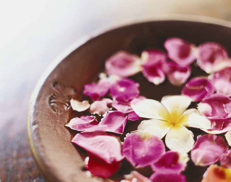 Flower Petals in Water — Purple