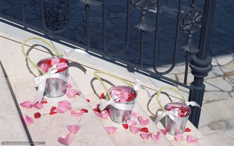 Flower petals on steps