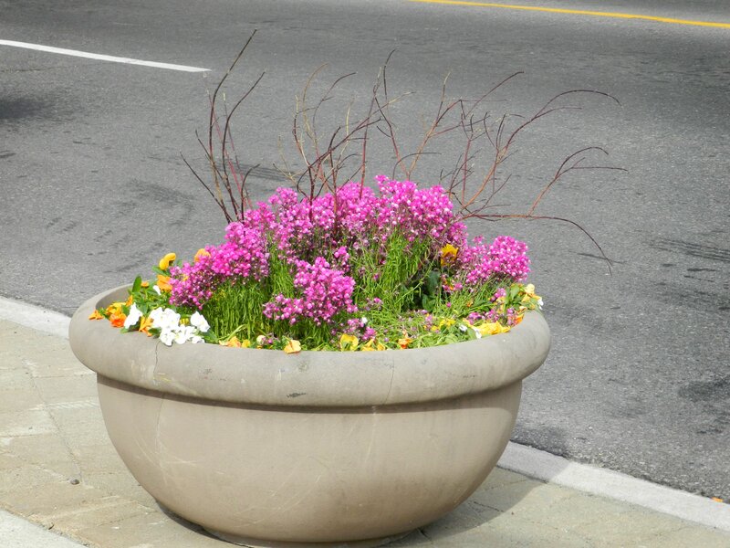 Flower Planter on Sidewalk