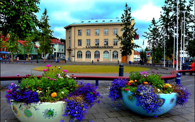 Flower Planters in Square