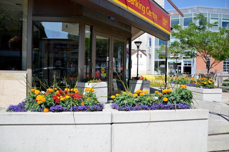 Flower Planters Outside Bank