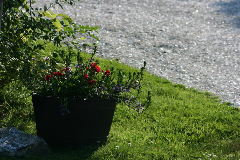 Flower pot on a sunny lawn