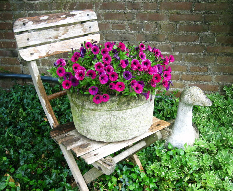 Flower Pot on Chair