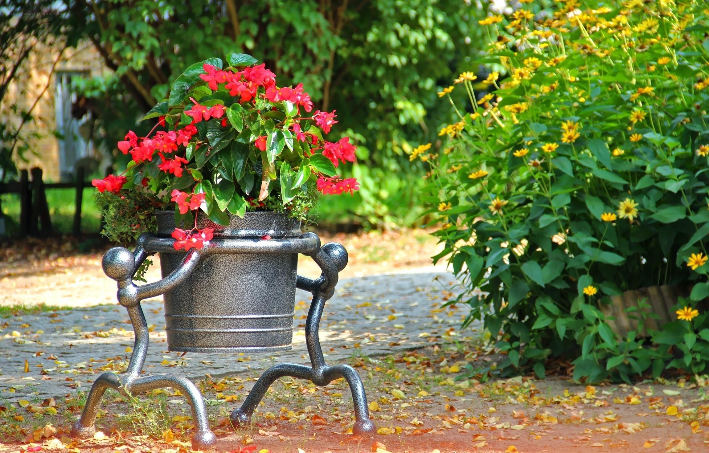Flower pot on garden bench