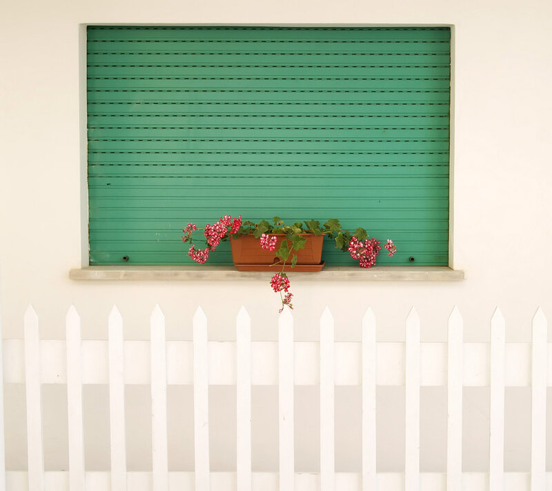 Flower Pot on Windowsill