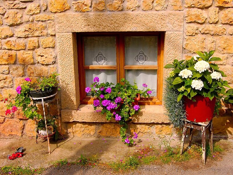 Flower pots by a stone window