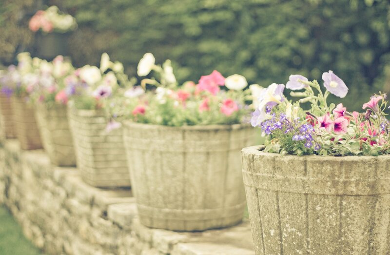 Flower pots in a garden
