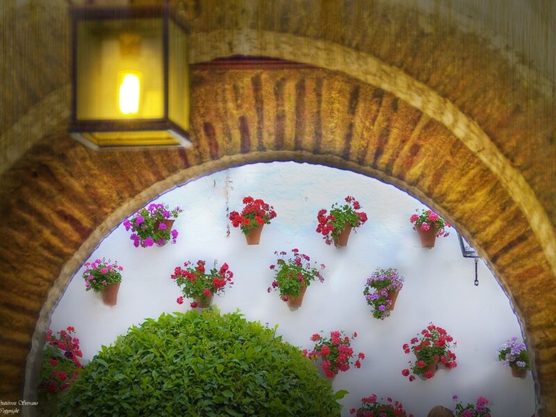 Flower Pots in Archway — White