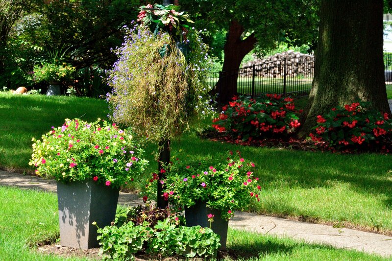 Flower Pots in Garden
