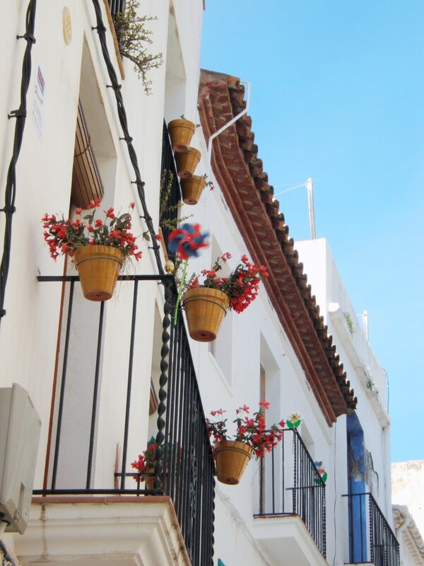 Flower pots on a balcony