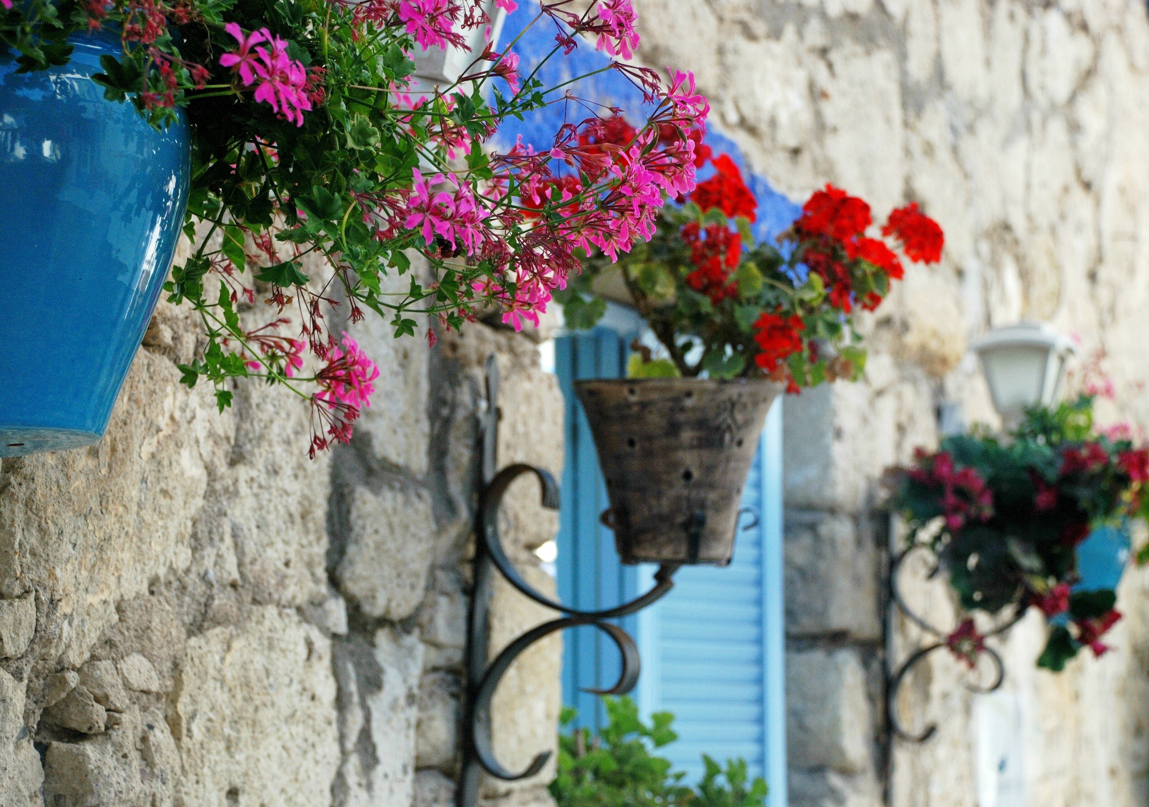 Flower pots on a stone wall