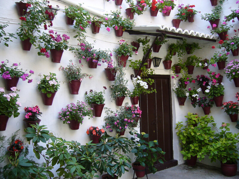 Flower Pots on a Wall
