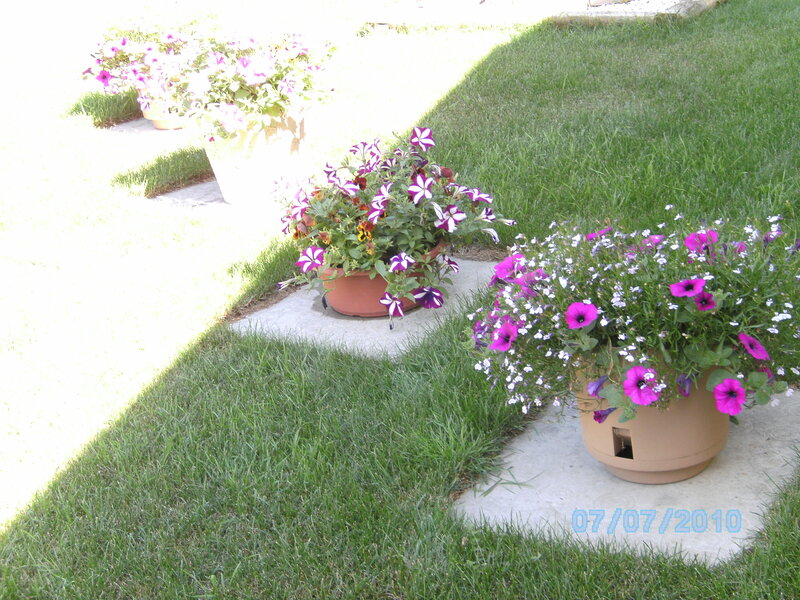 Flower Pots on Lawn